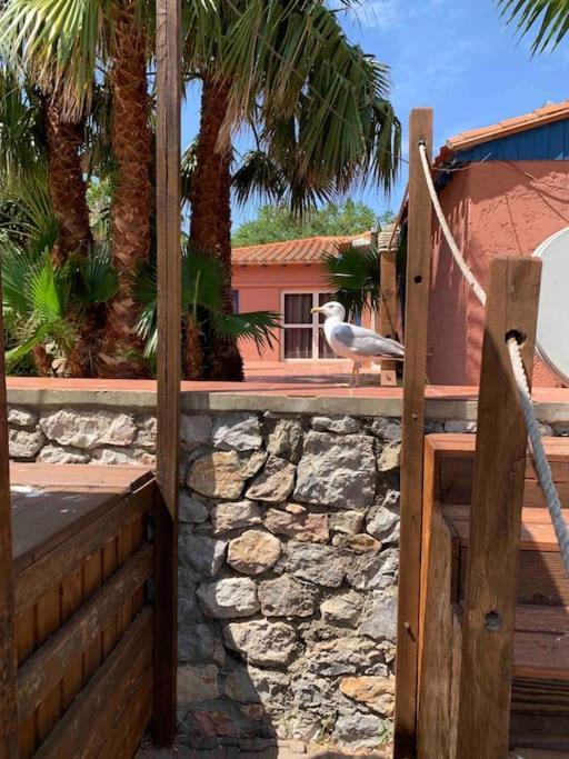 Appartement Cosy Confort Parking Clim Wifi Linge Acces Piscine Non Inclus Canet-en-Roussillon Exterior foto